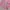 Pakaian adat Pakaian Nasional Kebaya Wanita pink photo 7