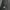 Fleece Pria navy gray photo 5
