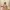 Minimalist Babydoll dress Wanita tan photo 2