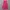 Casual Maxi Skirt Wanita Pink