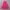Casual Maxi skirt Wanita pink photo 3