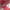 Casual Scarf Wanita white red photo 4