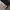 Burberry Luxury Casual Shoulder bag Wanita tan cream photo 6