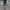 Vintage Y2K Short Pria navy photo 3