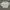 Casual Bomber jacket Pria gray photo 7