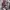 Casual Bomber jacket Pria gray photo 4
