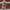 Lolita Midi dress Wanita burgundy photo 3