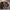 Louis Vuitton Vintage Handbag Wanita Brown