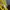 Polo Ralph Lauren Casual T-shirt Pria yellow photo 4