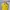 Polo Ralph Lauren Casual T-shirt Pria Yellow