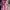 Luxury Minimalist Short Wanita multicolor photo 2