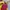 Vintage Y2K Parka Pria red yellow photo 6