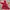Vivienne Westwood Vintage Sportswear Windbreaker Pria Red Gray