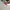 Adidas Sportswear Casual Shoe Pria White Green Red Black