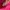 Casual Sweatshirt Wanita pink photo 3