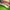 Casual Kids multicolor brown photo 5