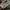 Abercrombie & Fitch Vintage Sweater Pria khaki photo 3