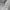 Andersson Bell Streetwear Hoody Pria gray photo 5