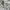 Andersson Bell Streetwear Hoody Pria gray photo 6