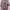 Luxury Casual Bralette Wanita pink photo 2