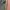 Minimalist Casual Boyfriend jeans Wanita multicolor photo 3