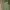 Sweatpants & Joggers Wanita green photo 3