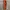 Adidas Streetwear Sportswear Sneakers Pria red photo 7