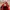 Adidas Streetwear Sportswear Sneakers Pria red photo 6