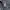 Sportswear Casual Tracksuit Pria gray photo 6