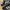 Adidas Sportswear Casual Sneakers Pria white black photo 3