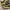 Adidas Sportswear Casual Sneakers Pria black yellow photo 3