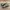 Nike Sportswear Casual Sneakers Pria green gray photo 2