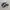 Nike Indie Casual Sneakers Wanita white black gray photo 1