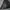 Vintage Goth Going out dress Wanita black photo 5