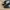 Adidas Sportswear Casual Sneakers Pria white black photo 3