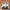 New Balance Streetwear Casual Sneakers Wanita white blue photo 4