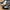 Adidas Sportswear Casual Sneakers Pria white black photo 3