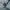 Diesel Vintage Casual Parka Pria green photo 4