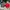 MLB Vintage Skater Hat Pria white red black blue photo 2