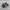 Adidas Indie Casual Sneakers Pria white black photo 1