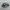 Adidas Indie Casual Sneakers Pria white black gray photo 1