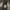 Guidi Boots Pria cream photo 5