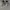 VANS Sneakers Pria white black photo 4