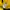 Nike Casual Windbreaker Pria yellow photo 5
