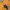Streetwear Y2K T-shirt Wanita multicolor yellow photo 6