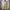 Casual Formal Shirt Pria Cream Yellow