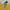 Nike Vintage Streetwear T-shirt Pria yellow photo 5
