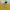 Nike Vintage Streetwear T-shirt Pria yellow photo 4