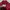 Sportswear Bomber jacket Pria red photo 4