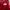 Sportswear Bomber jacket Pria red photo 3